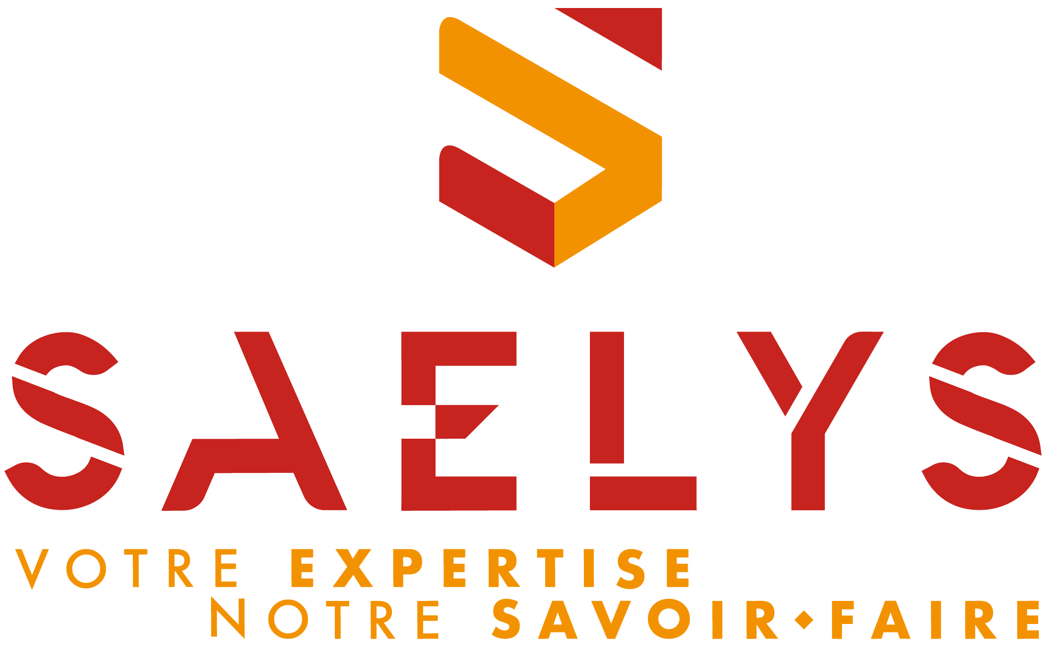 Logo Saelys